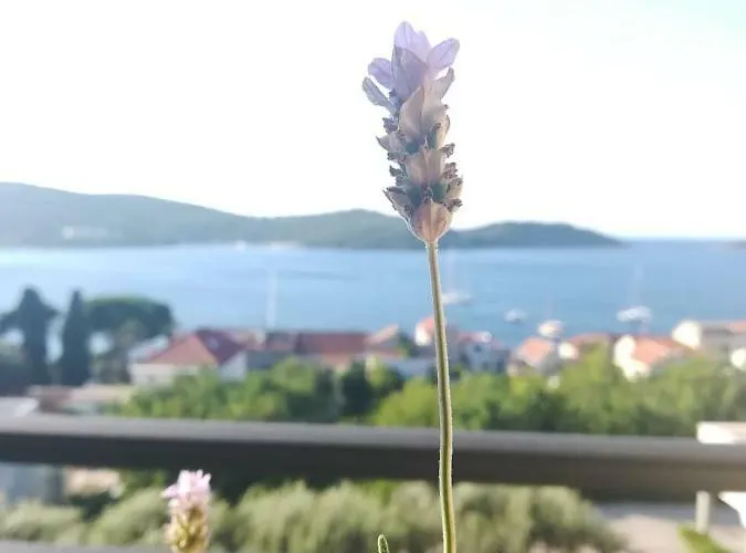 Penzion A Lovely And Cozy With A Breathtaking View Vis